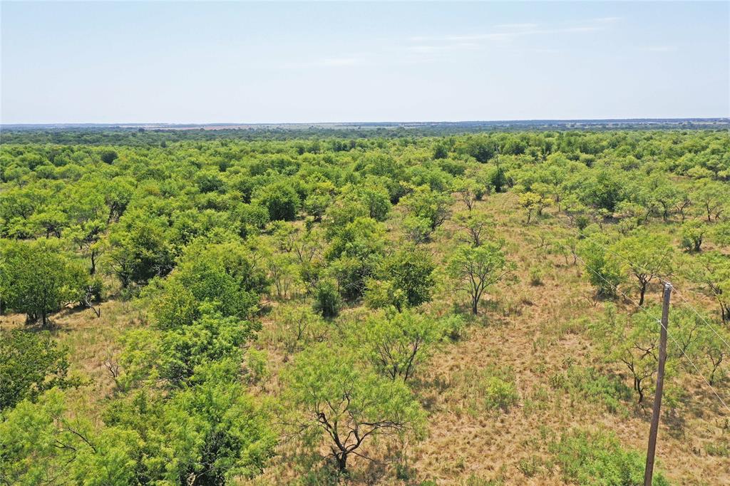 480-acres Tucker Road Perrin, TX 76486 - Photo 5 of 40 Gallery Image 5