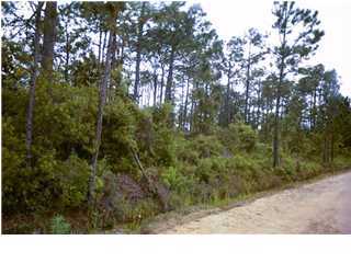 10 Santa Rosa Street Santa Rosa Beach, FL 32459 - Photo 1 of 1 a view of a yard