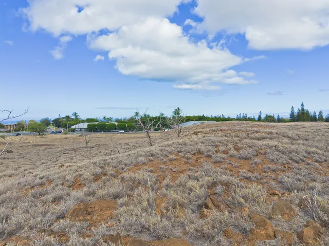 a view of an ocean and beach
