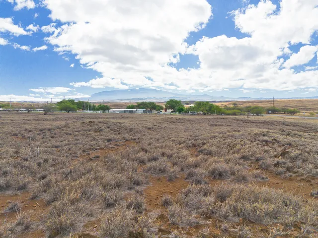 a view of a lake and a large trees