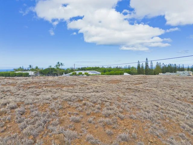 a view of a dry yard with mountain