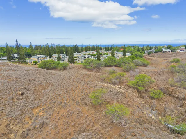 a view of a yard with a forest
