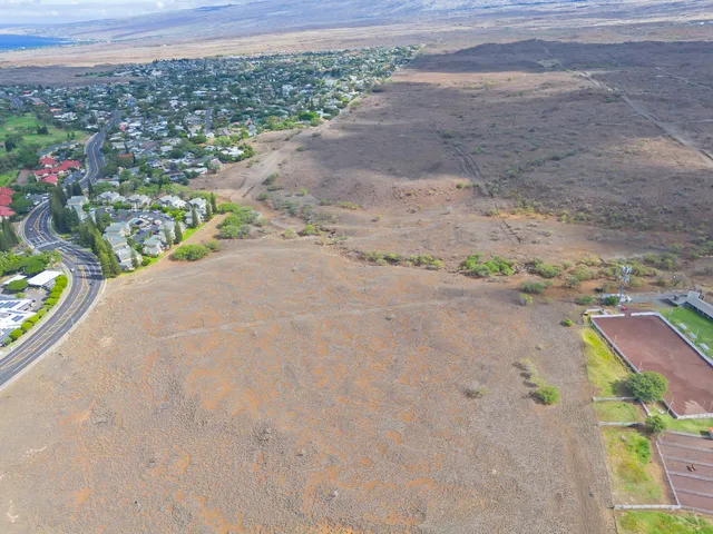a view of a garden with an outdoor space