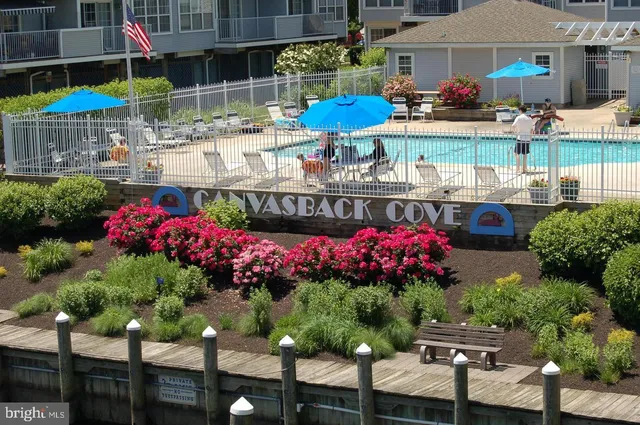 a variety of fruits and vegetables with building in background