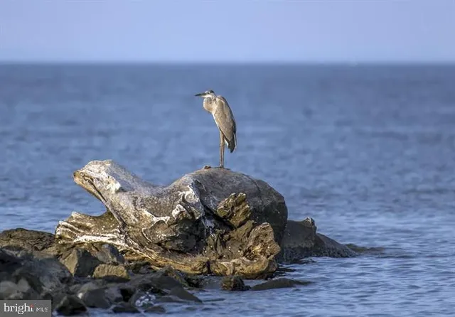 $2,200 | 247 C Fountain Street, Unit 82, Havre de Grace, MD 21078