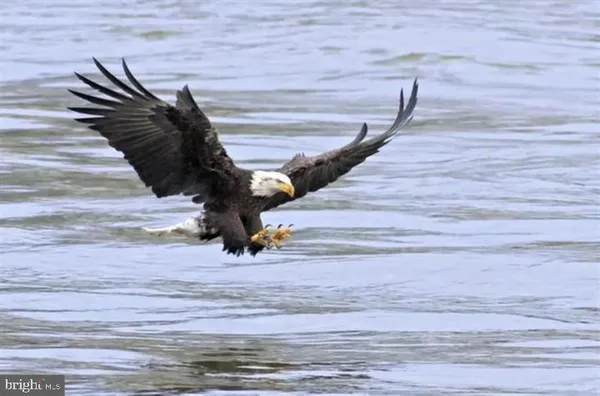 $2,200 | 247 C Fountain Street, Unit 247C, Havre de Grace, MD 21078