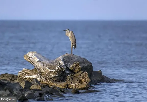 $2,200 | 247 C Fountain Street, Unit 247C, Havre de Grace, MD 21078