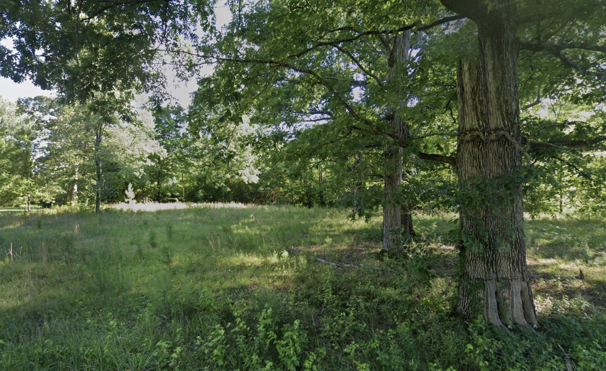 4000 Trewhitt Road Southeast Cleveland, TN 37323 - Photo 1 of 2 Gallery Image 1