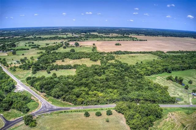 a view of a lush green forest