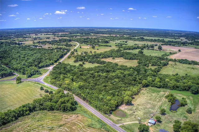 a view of a lush green space