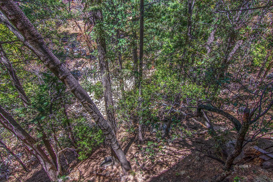 55596 Encino Road Idyllwild, CA 92549 - Photo 24 of 74 a view of a tree in a yard