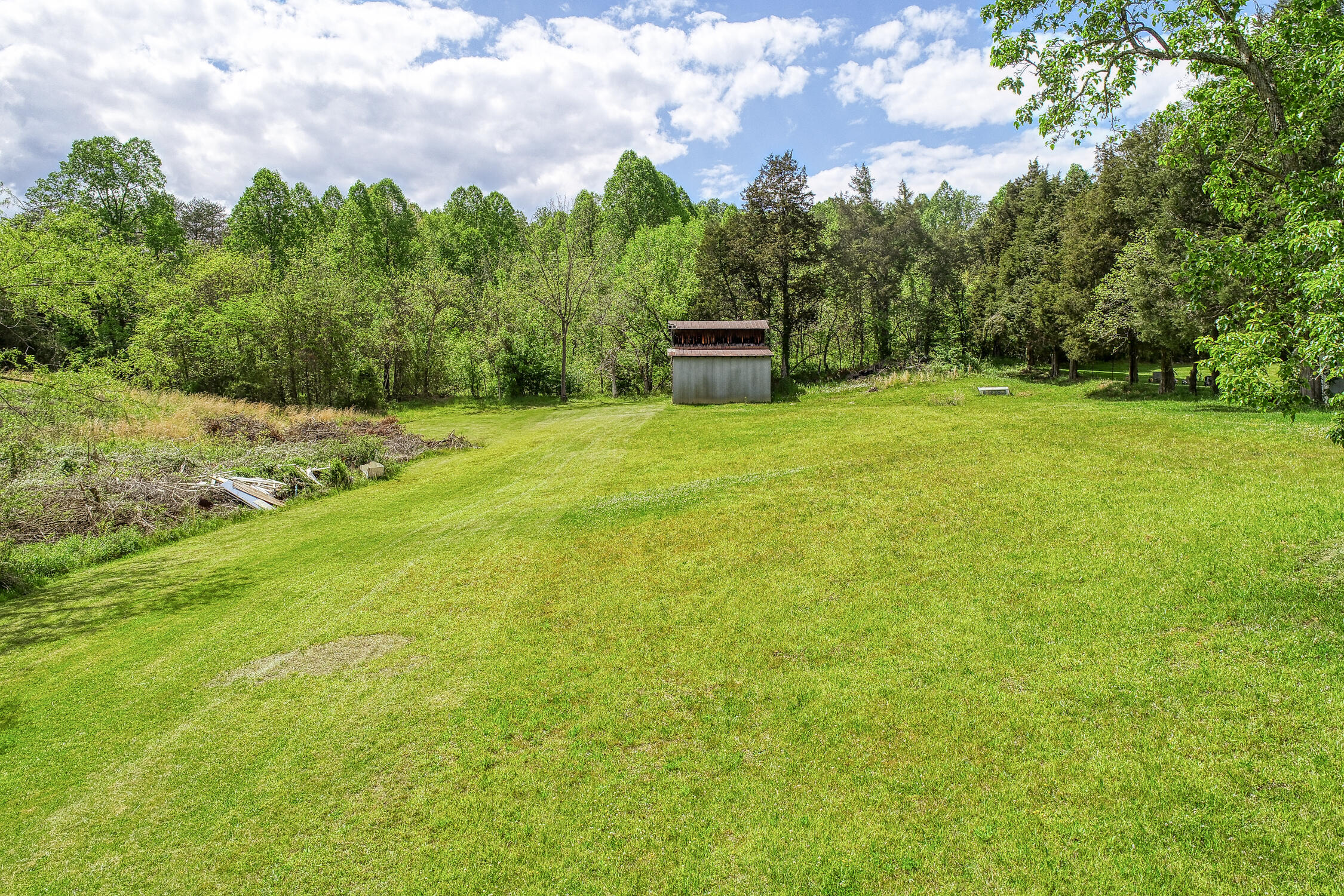 720 Speedwell Road Bulls Gap, TN 37711 - Photo 7 of 23 Fobber. Speedwell. Bulls Gap MLSa (6 of