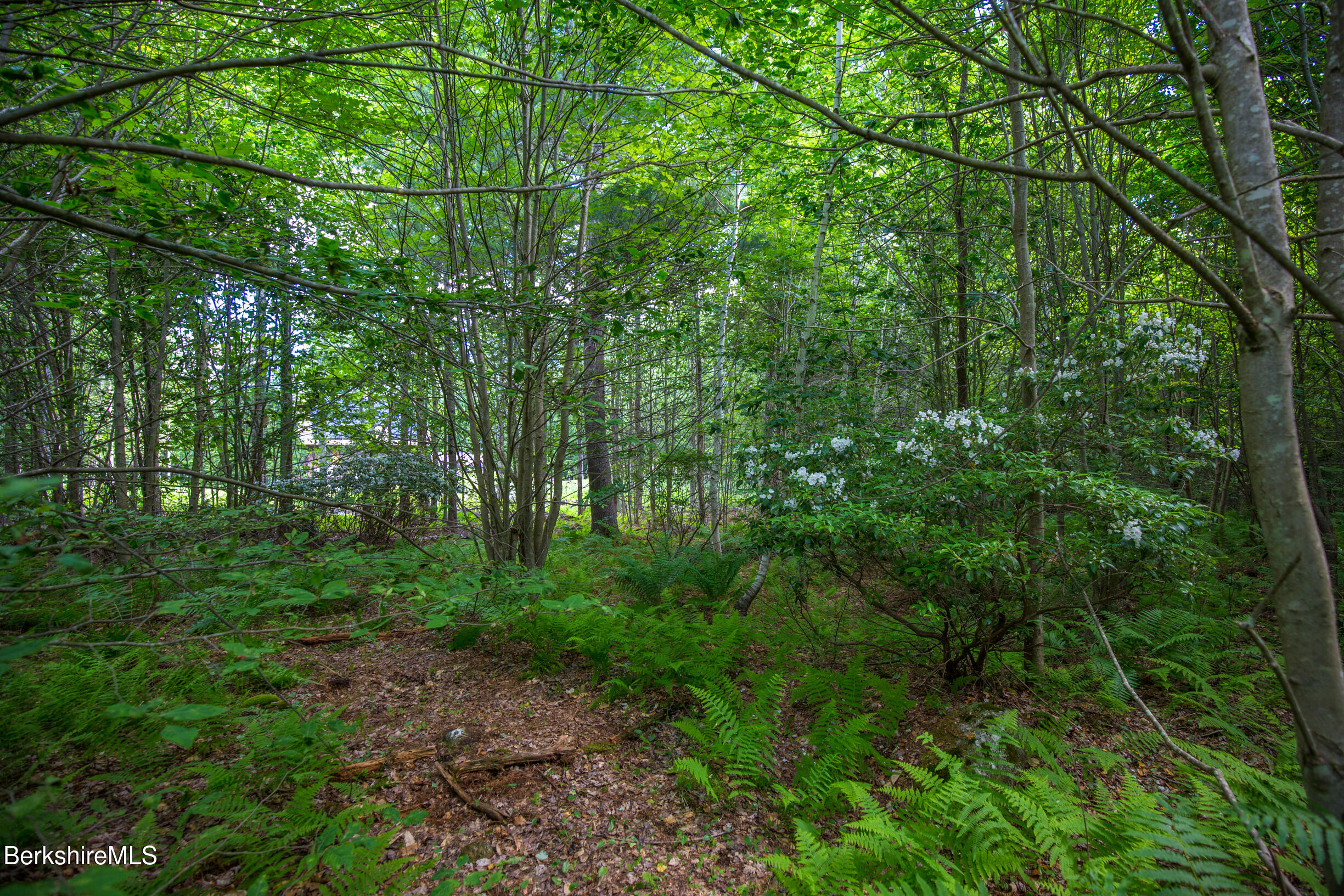 21 Stoney Brook Road Becket, MA 01223 - Photo 2 of 15 Lot