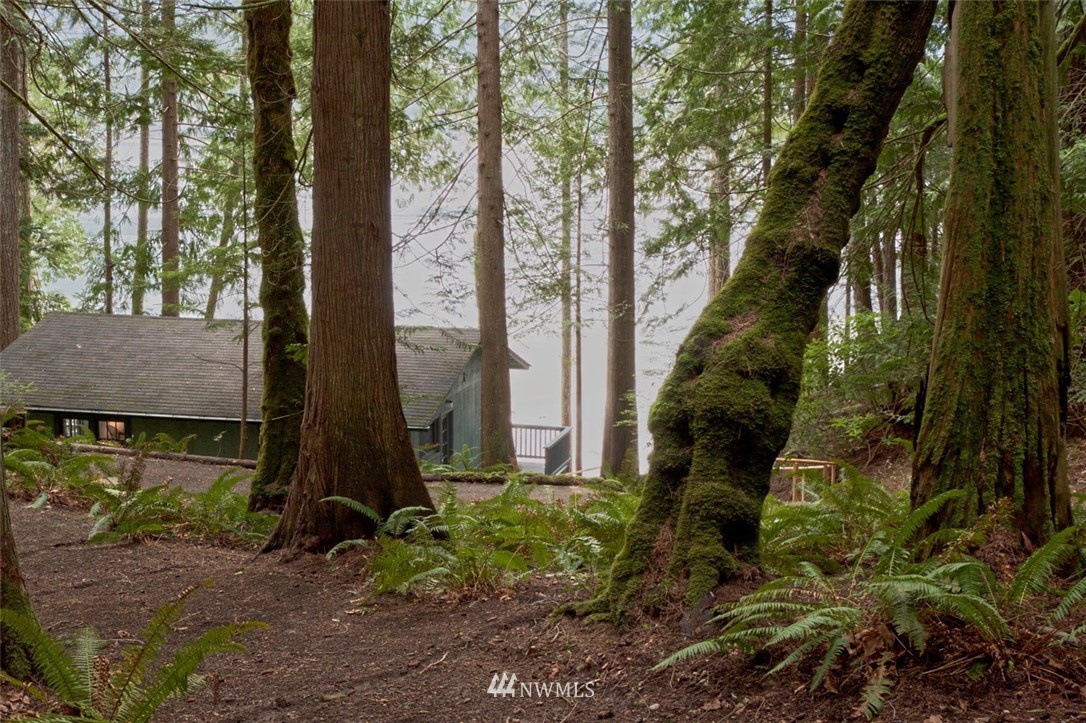 2590 East Quilcene Road Quilcene, WA 98376 - Photo 16 of 19