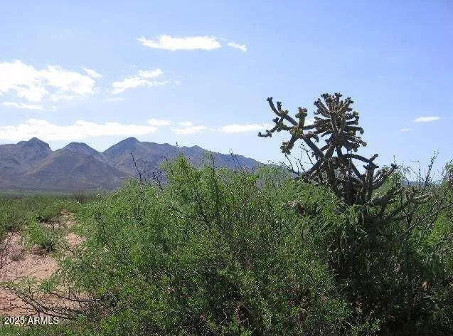 a view of a field with a mountain in the background