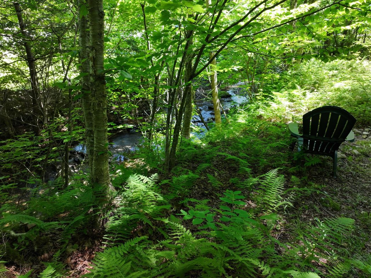 9562 Main Road Huntington, VT 05462 - Photo 24 of 25