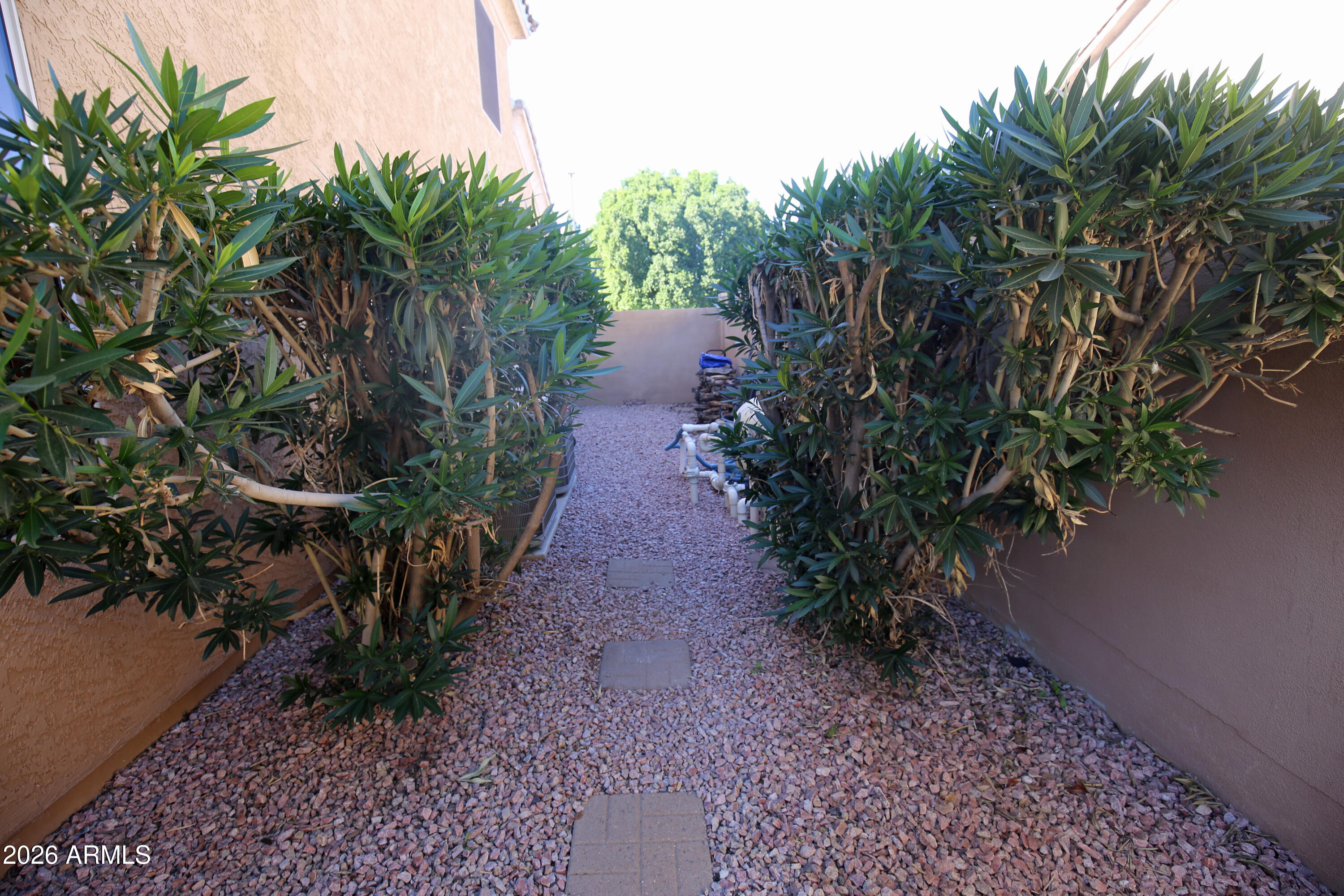 1285 North Evergreen Street Gilbert, AZ 85233 - Photo 18 of 19 IMG_5253