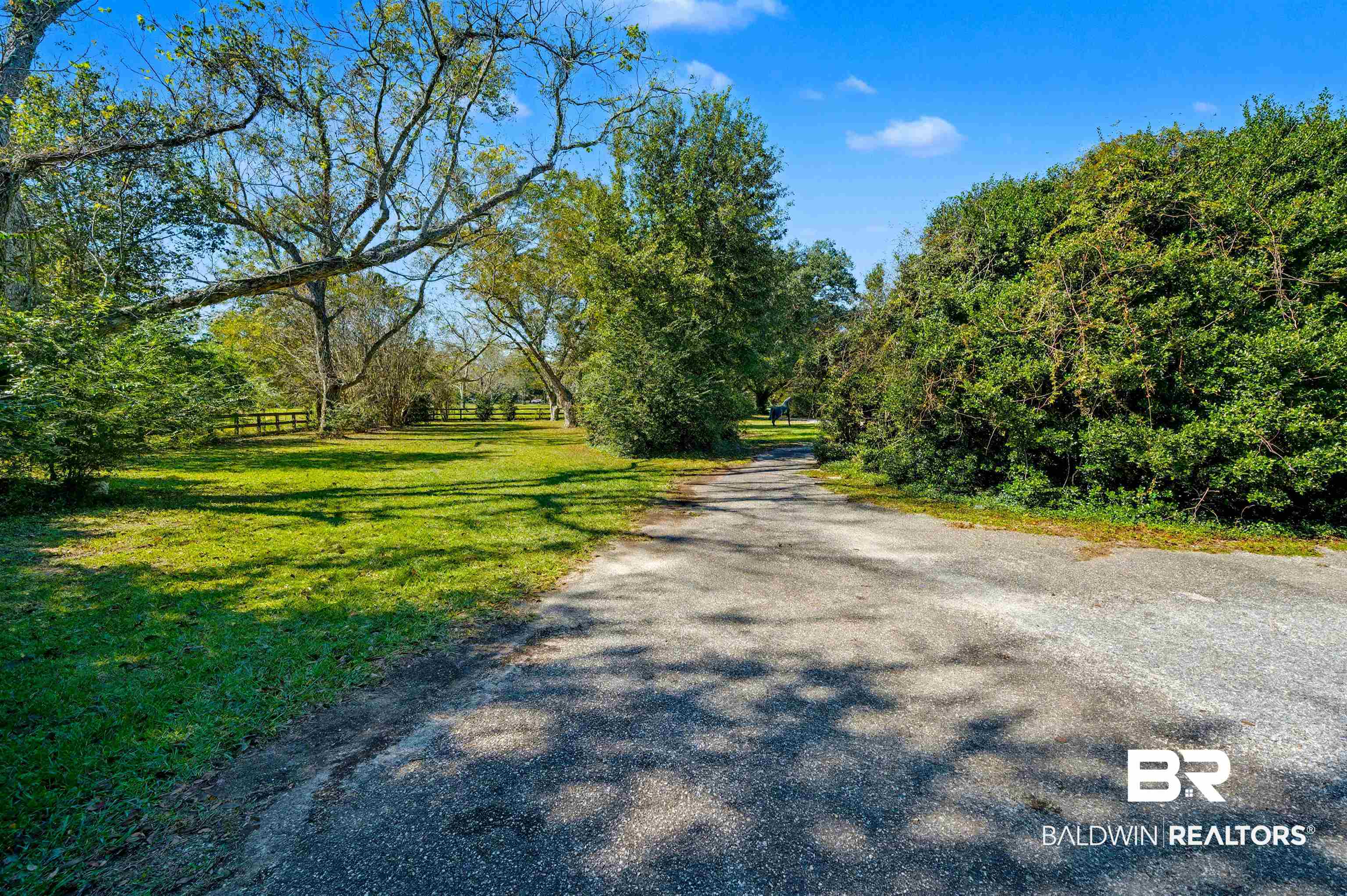 15810 County Road 73 Foley, AL 36535 - Photo 7 of 56 View of road