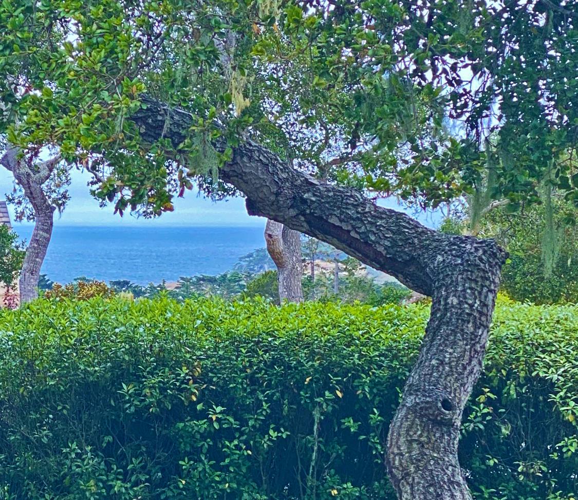 1534 Riata Road Pebble Beach, CA 93953 - Photo 50 of 50 a view of a yard