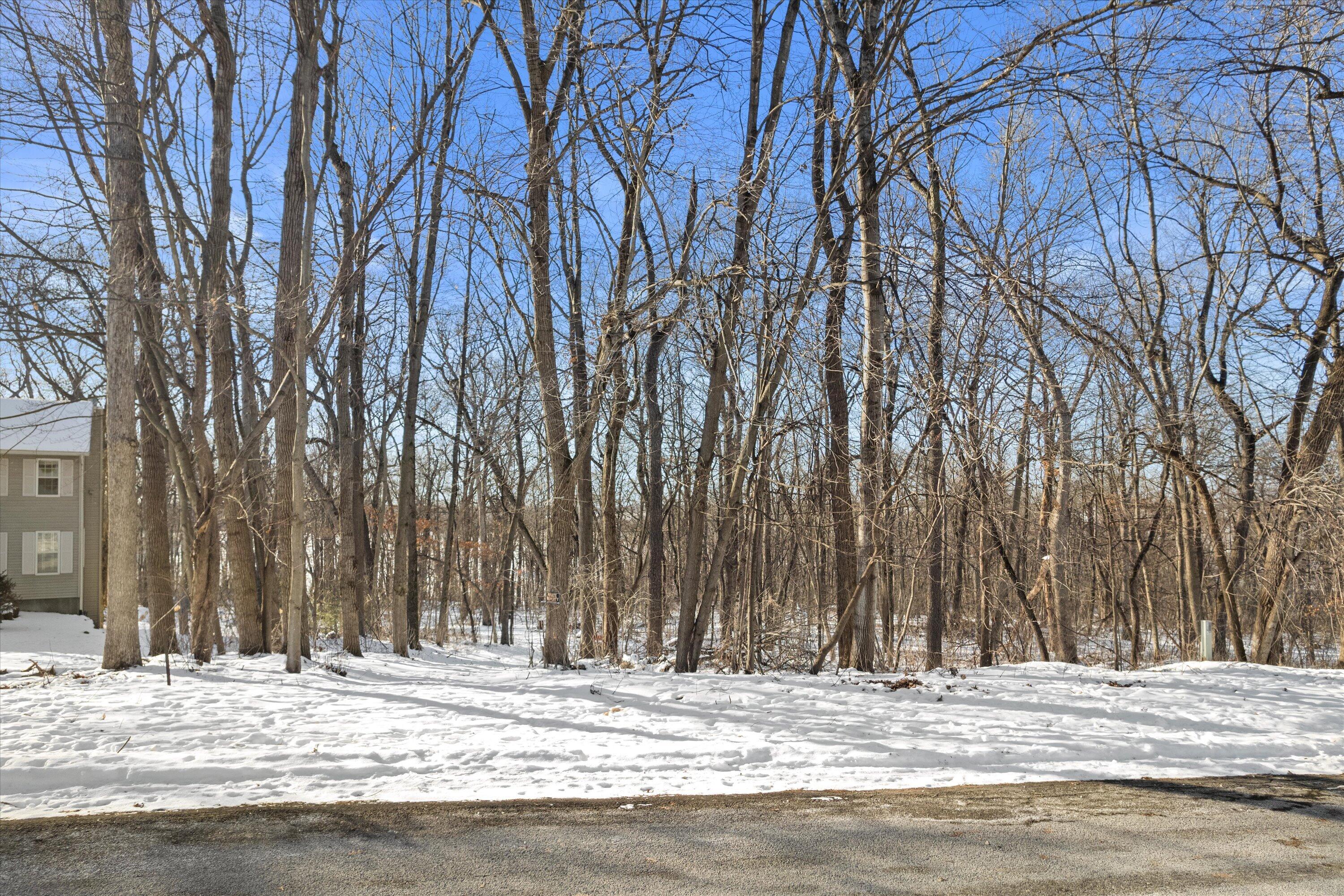 Lt11 Maple Heights Road Marshall, WI 53559 - Photo 4 of 8 004