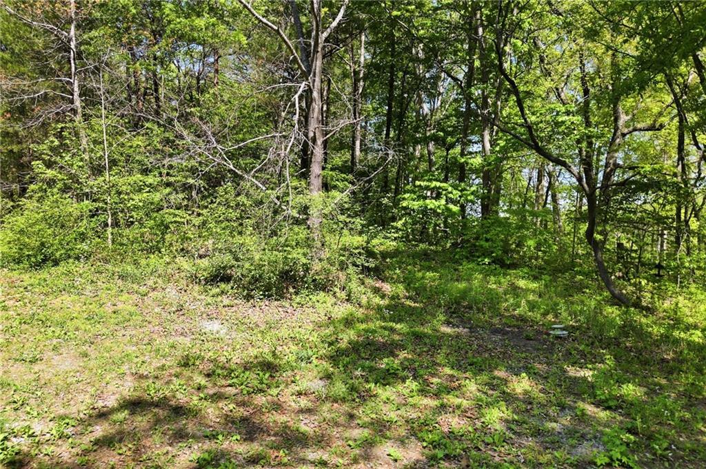 2686 Scott Brown Road Southeast Fairmount, GA 30139 - Photo 28 of 30