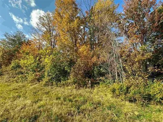 a view of a yard with a tree
