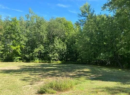 a view of a green field