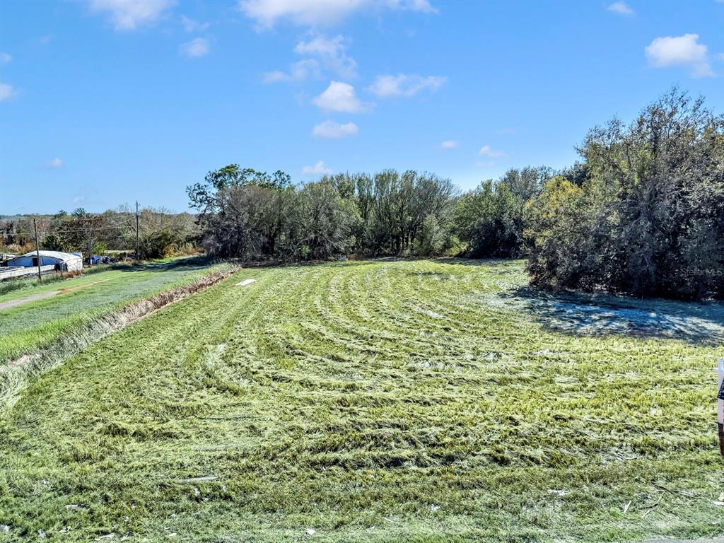 10611 Sumner Road Wimauma, FL 33598 - Photo 14 of 30 a view of a field with an trees