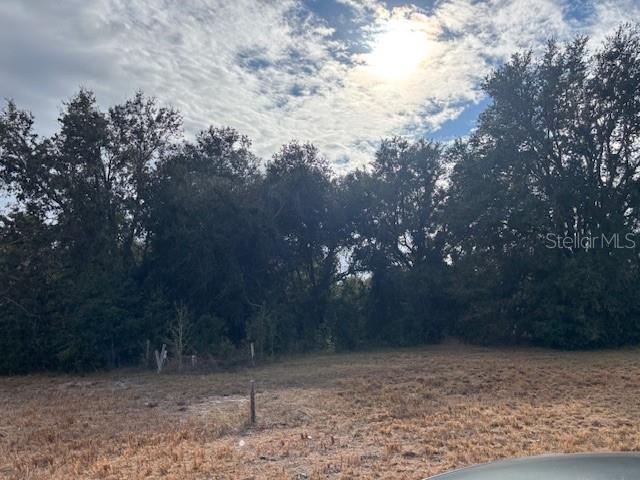 10611 Sumner Road Wimauma, FL 33598 - Photo 2 of 9 a view of a yard with trees in the background