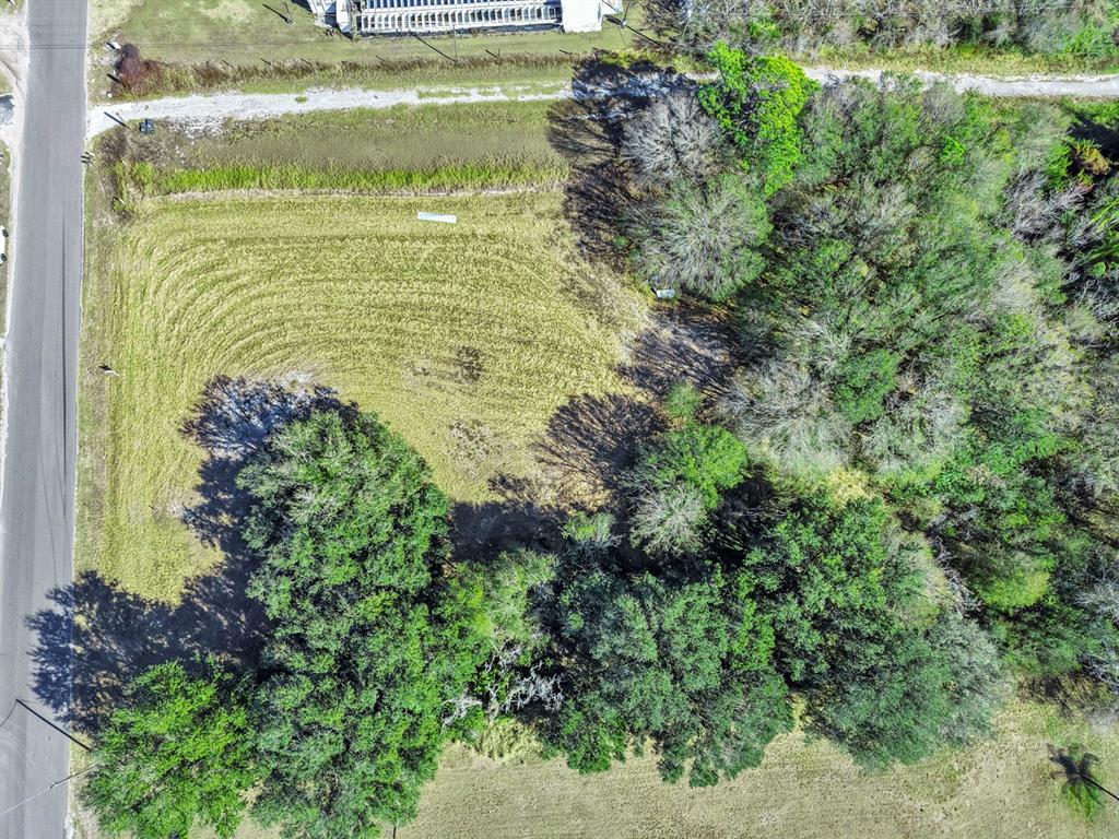 10611 Sumner Road Wimauma, FL 33598 - Photo 21 of 30 a view of a garden