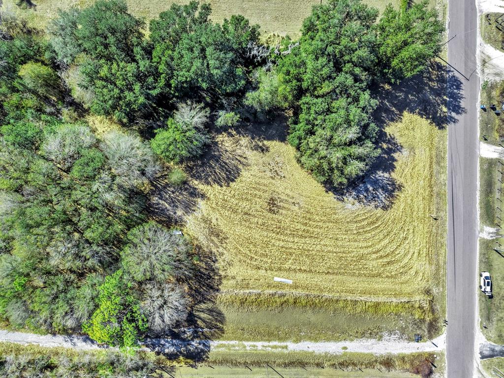 10611 Sumner Road Wimauma, FL 33598 - Photo 24 of 30 a view of a garden