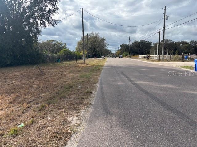10611 Sumner Road Wimauma, FL 33598 - Photo 8 of 9 a view of a garden with a tree
