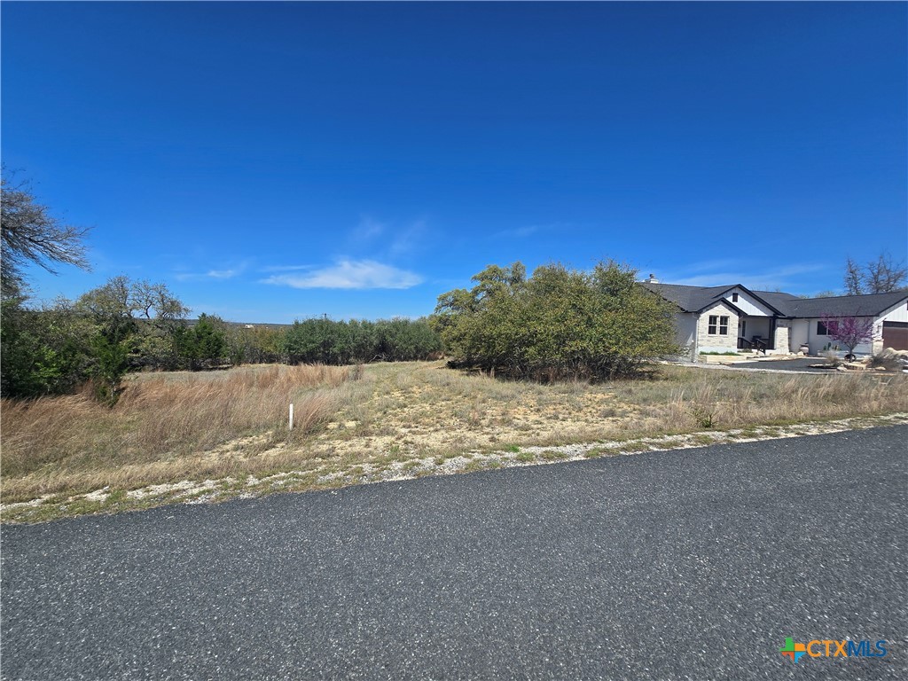 237 Roy Nichols Blanco, TX 78606 - Photo 3 of 18 a view of lake and mountain