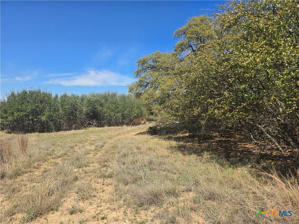 237 Roy Nichols Blanco, TX 78606 - Photo 6 of 18 a view of a yard