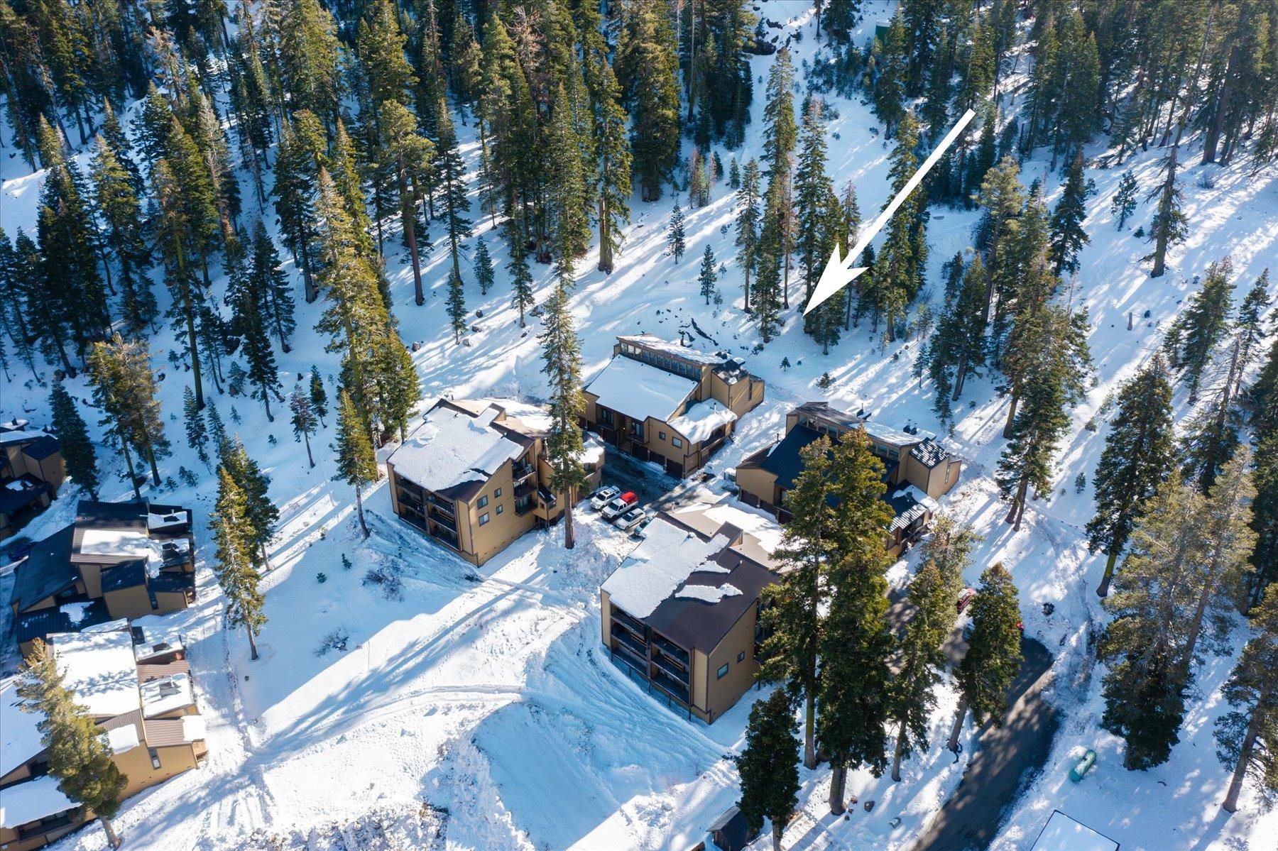 2201 Scott Peak Place, Unit 49 Alpine Meadows, CA 96146 - Photo 23 of 27