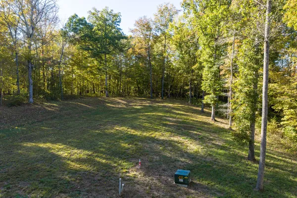 a view of a field with trees in the background