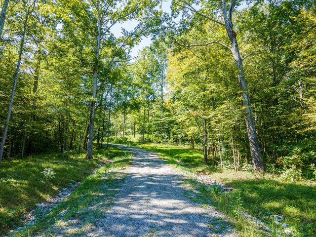 a view of a yard with a trees