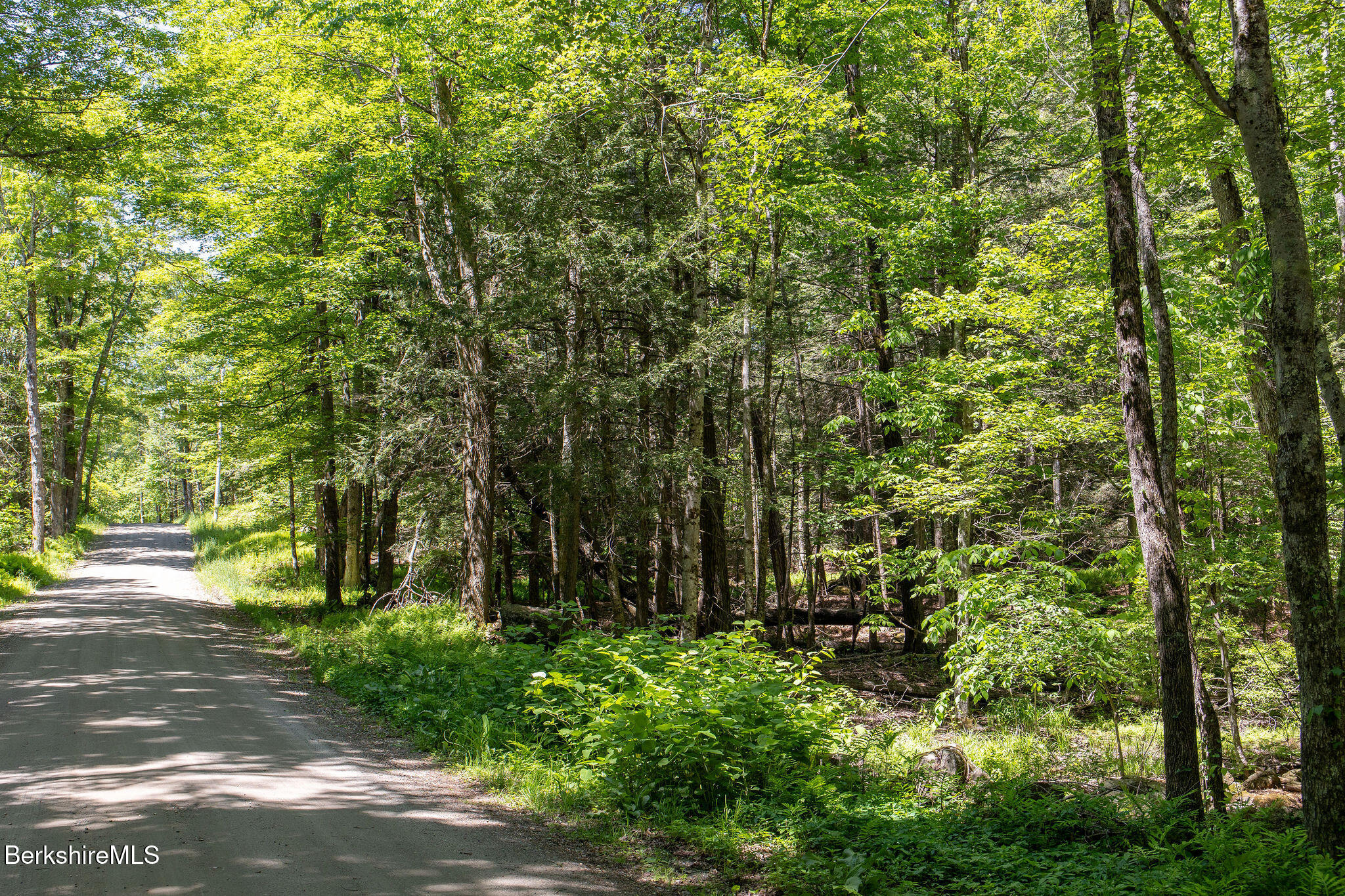 0 Indian Oven Road Worthington, MA 01098 - Photo 5 of 6 0003
