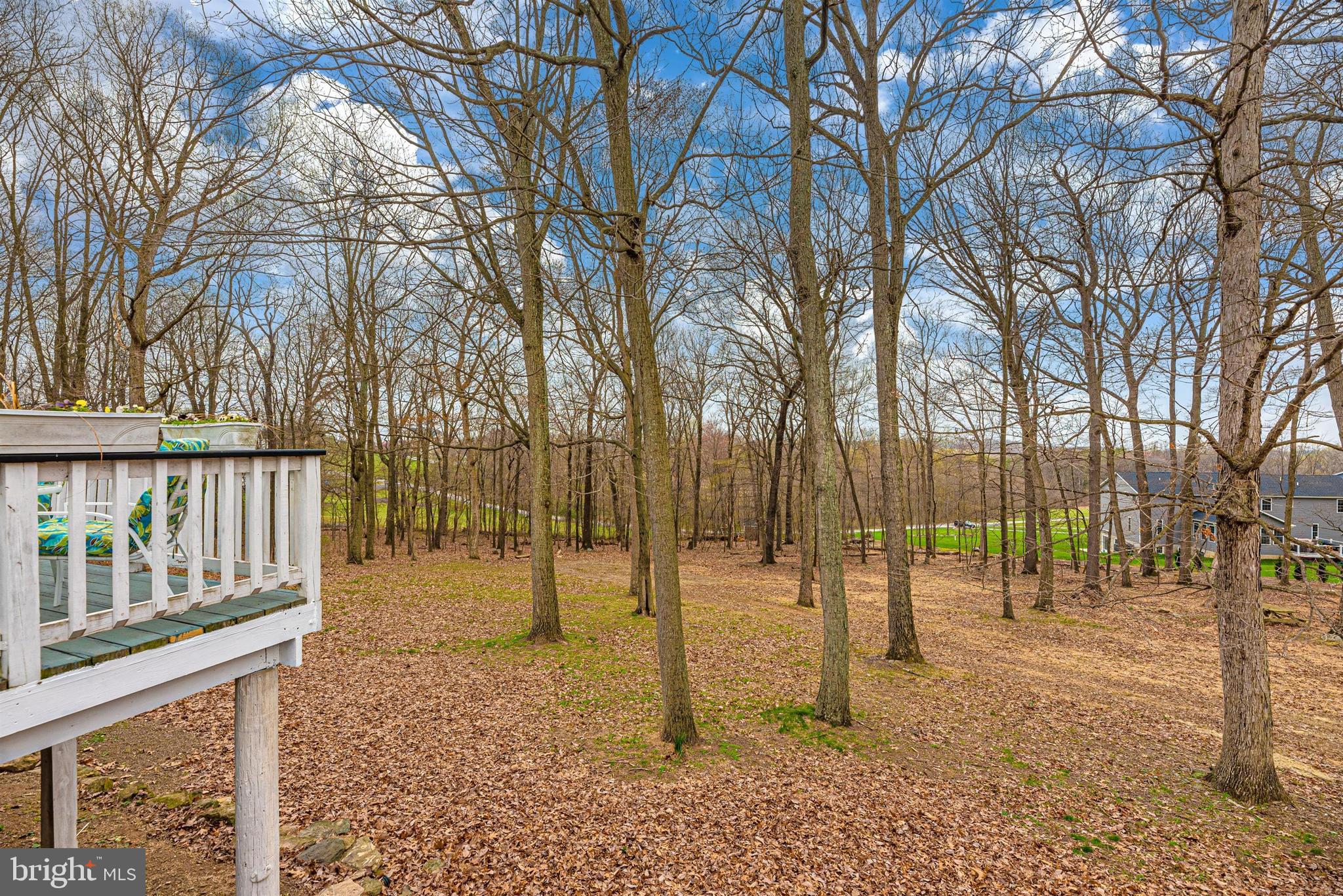 11416 Daysville Road Frederick, MD 21701 - Photo 46 of 62 Rear Yard