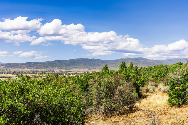1417 Splendor Valley Road, Unit 41 Kamas, UT 84036 - Photo 12 of 22