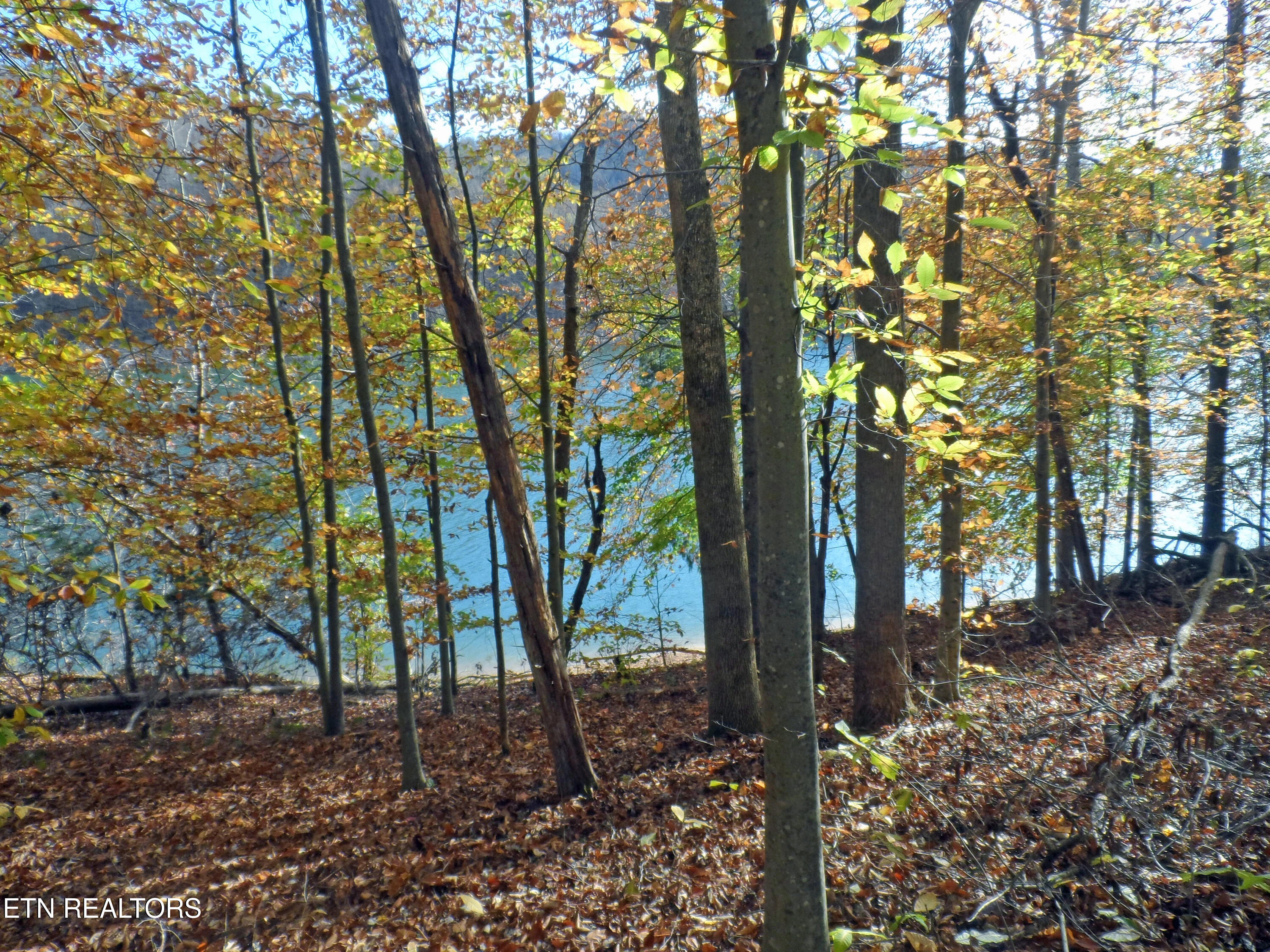 Lot 348 Lick Branch Road New Tazewell, TN 37825 - Photo 1 of 13 SAM_4926