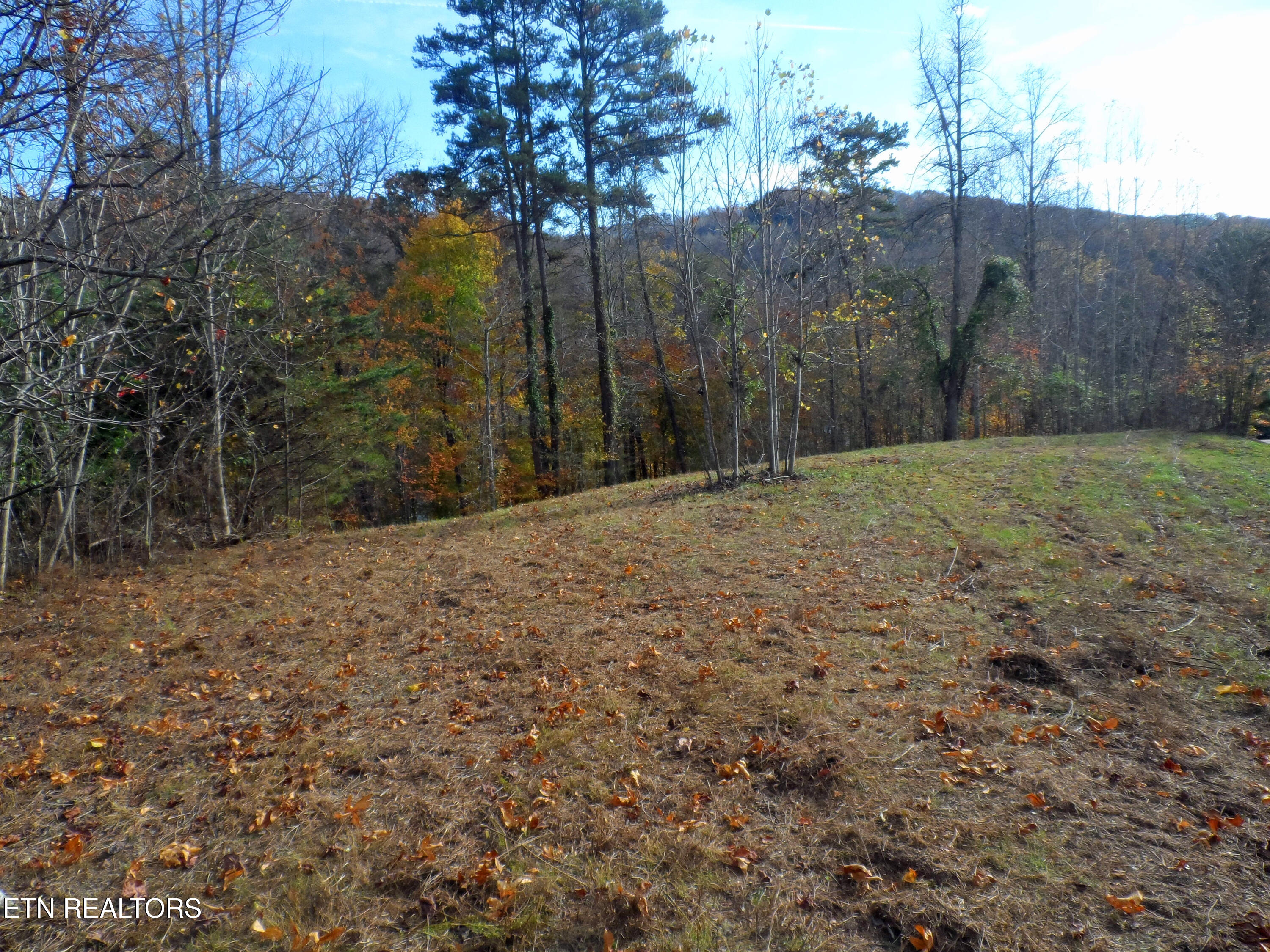 Lot 348 Lick Branch Road New Tazewell, TN 37825 - Photo 12 of 13 SAM_4923