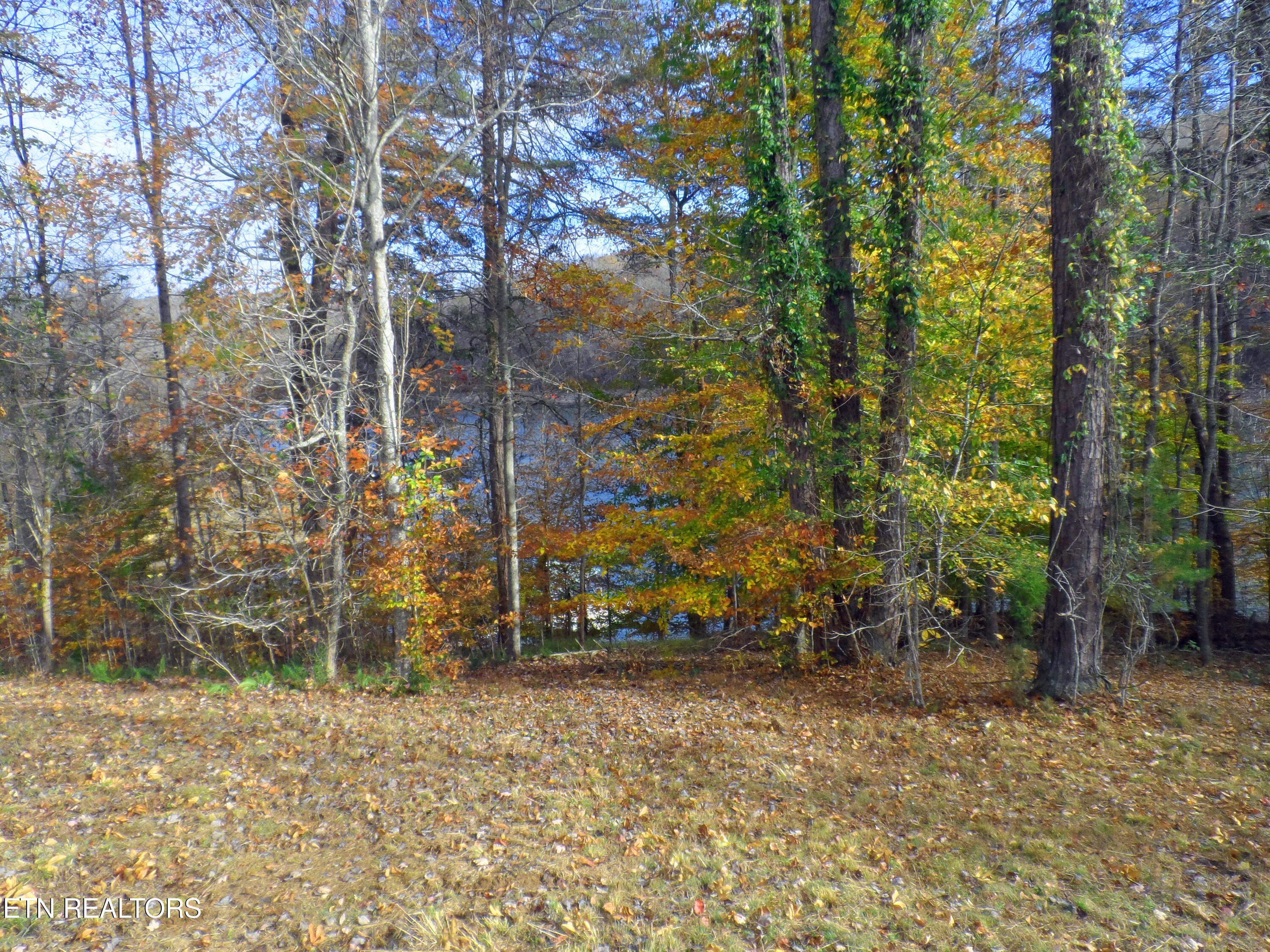 Lot 348 Lick Branch Road New Tazewell, TN 37825 - Photo 13 of 13 SAM_4924