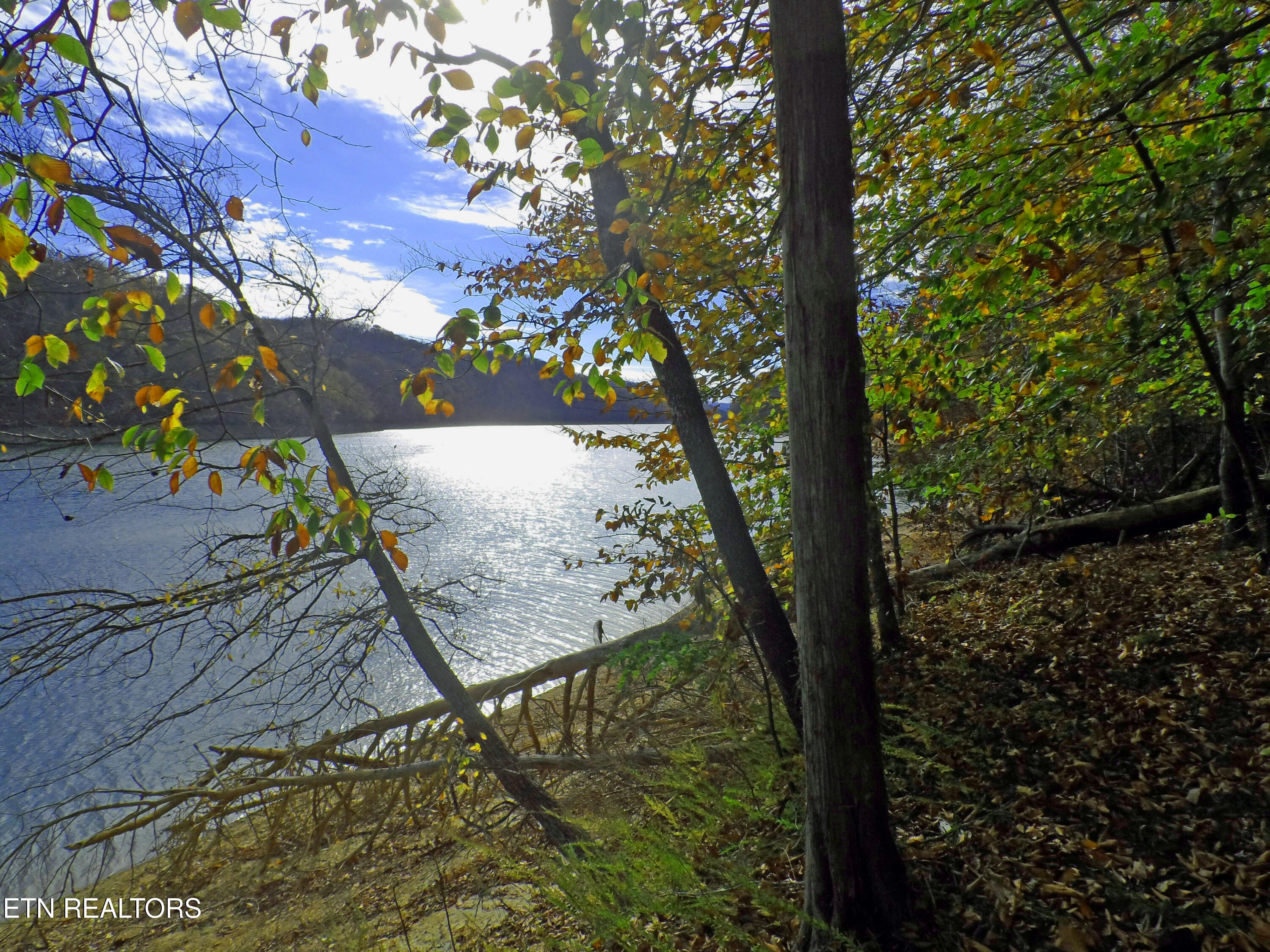 Lot 348 Lick Branch Road New Tazewell, TN 37825 - Photo 2 of 13 SAM_4921