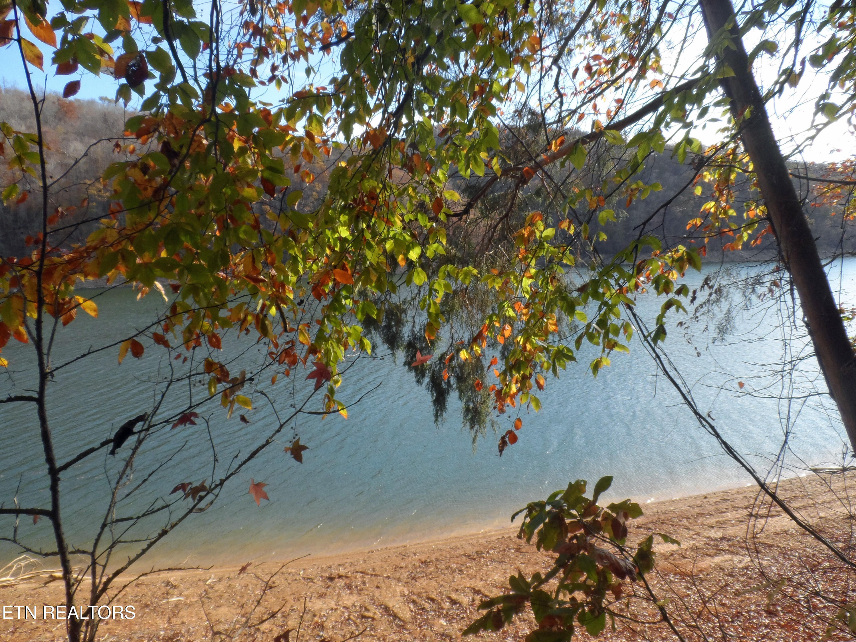 Lot 348 Lick Branch Road New Tazewell, TN 37825 - Photo 4 of 13 SAM_4928