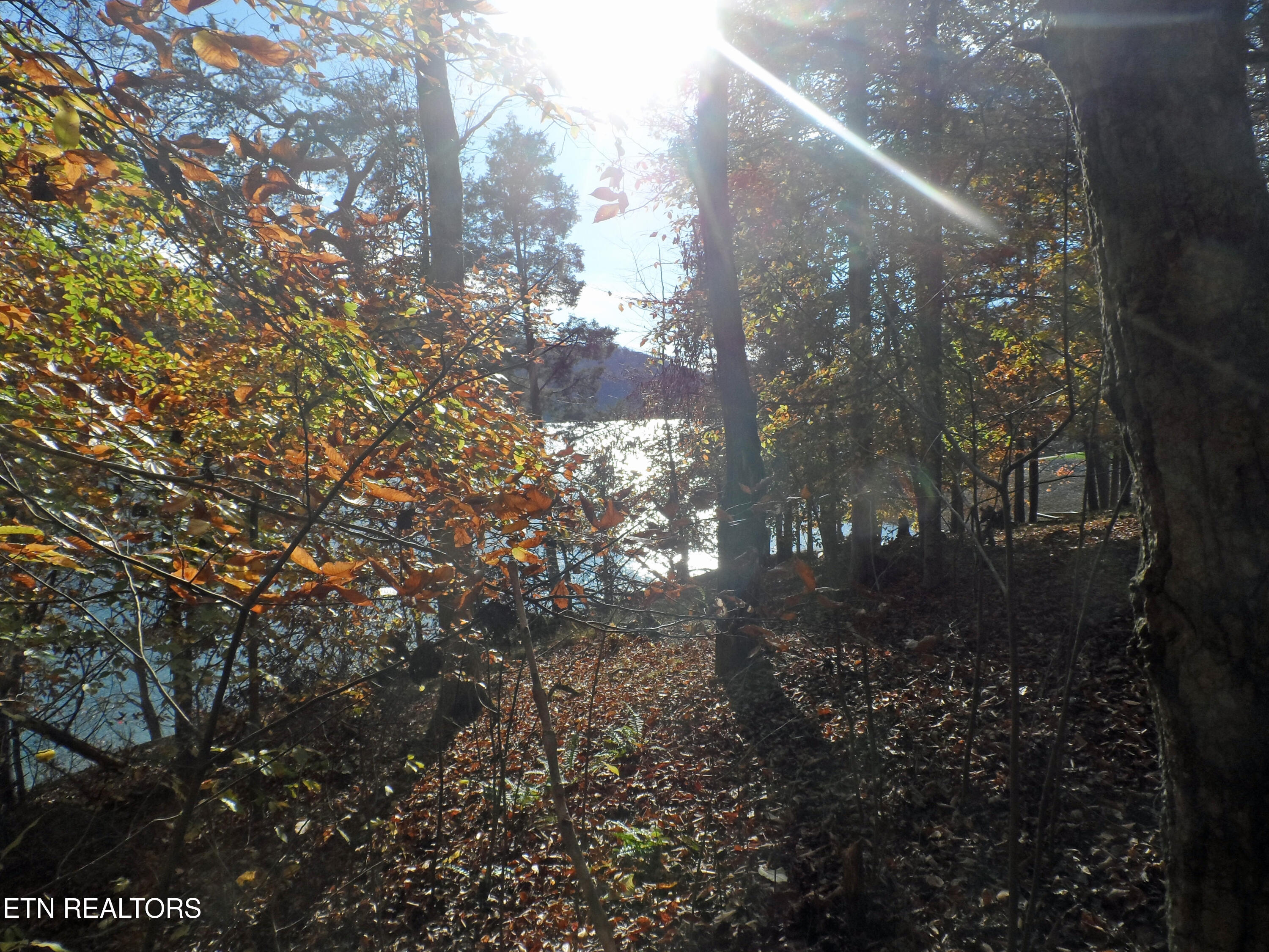 Lot 348 Lick Branch Road New Tazewell, TN 37825 - Photo 5 of 13 SAM_4930