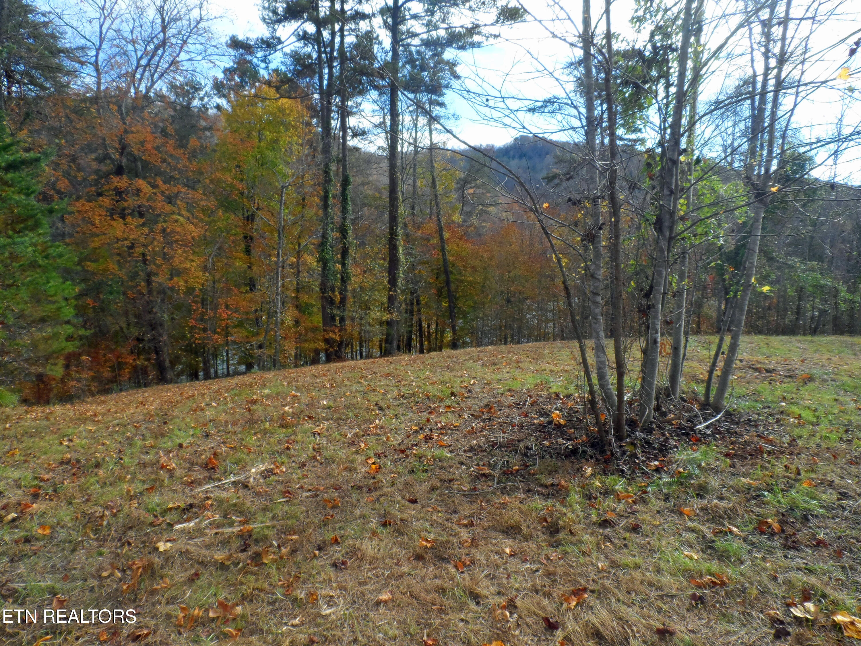 Lot 348 Lick Branch Road New Tazewell, TN 37825 - Photo 6 of 13 SAM_4913