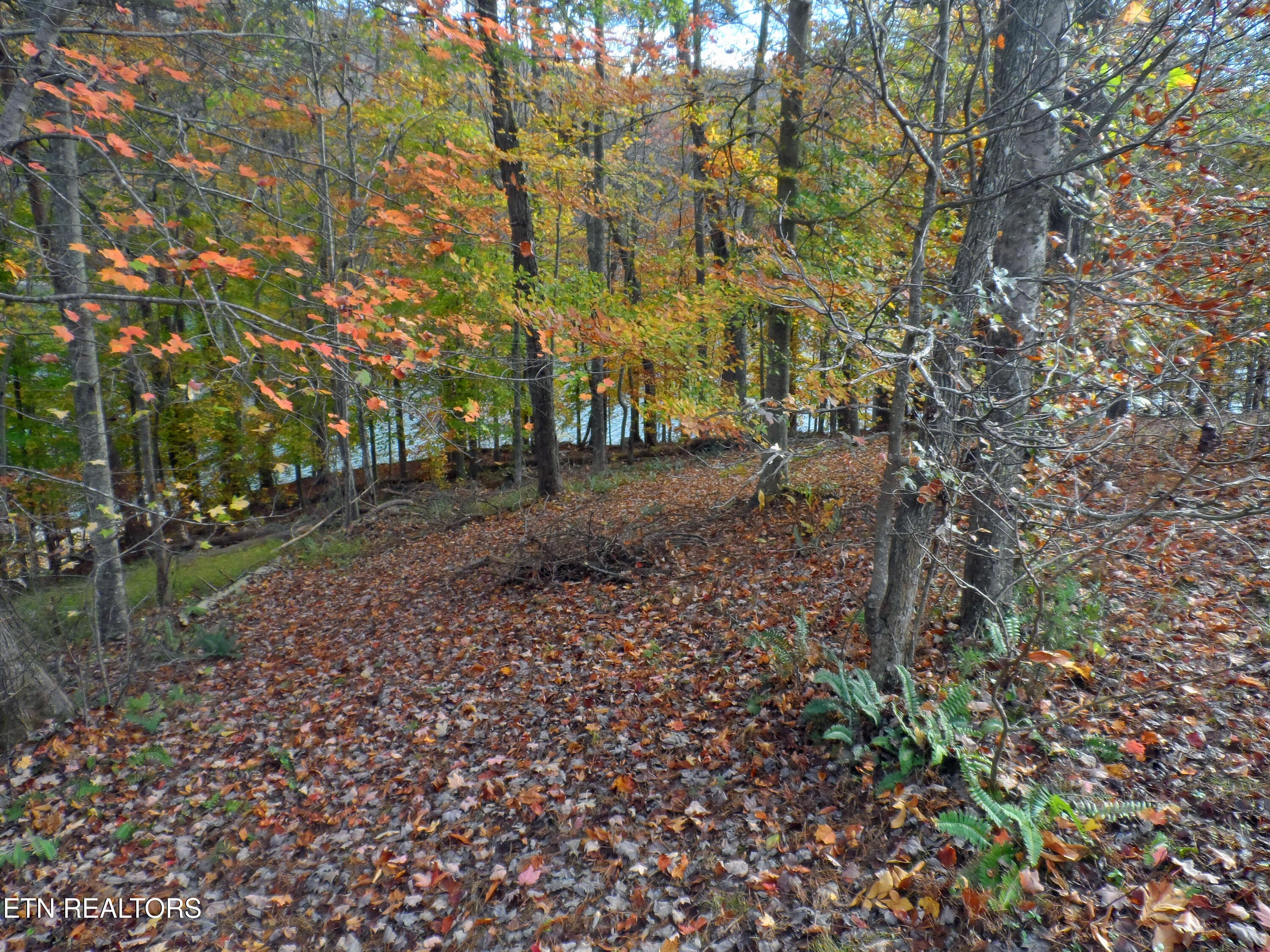 Lot 348 Lick Branch Road New Tazewell, TN 37825 - Photo 7 of 13 SAM_4914