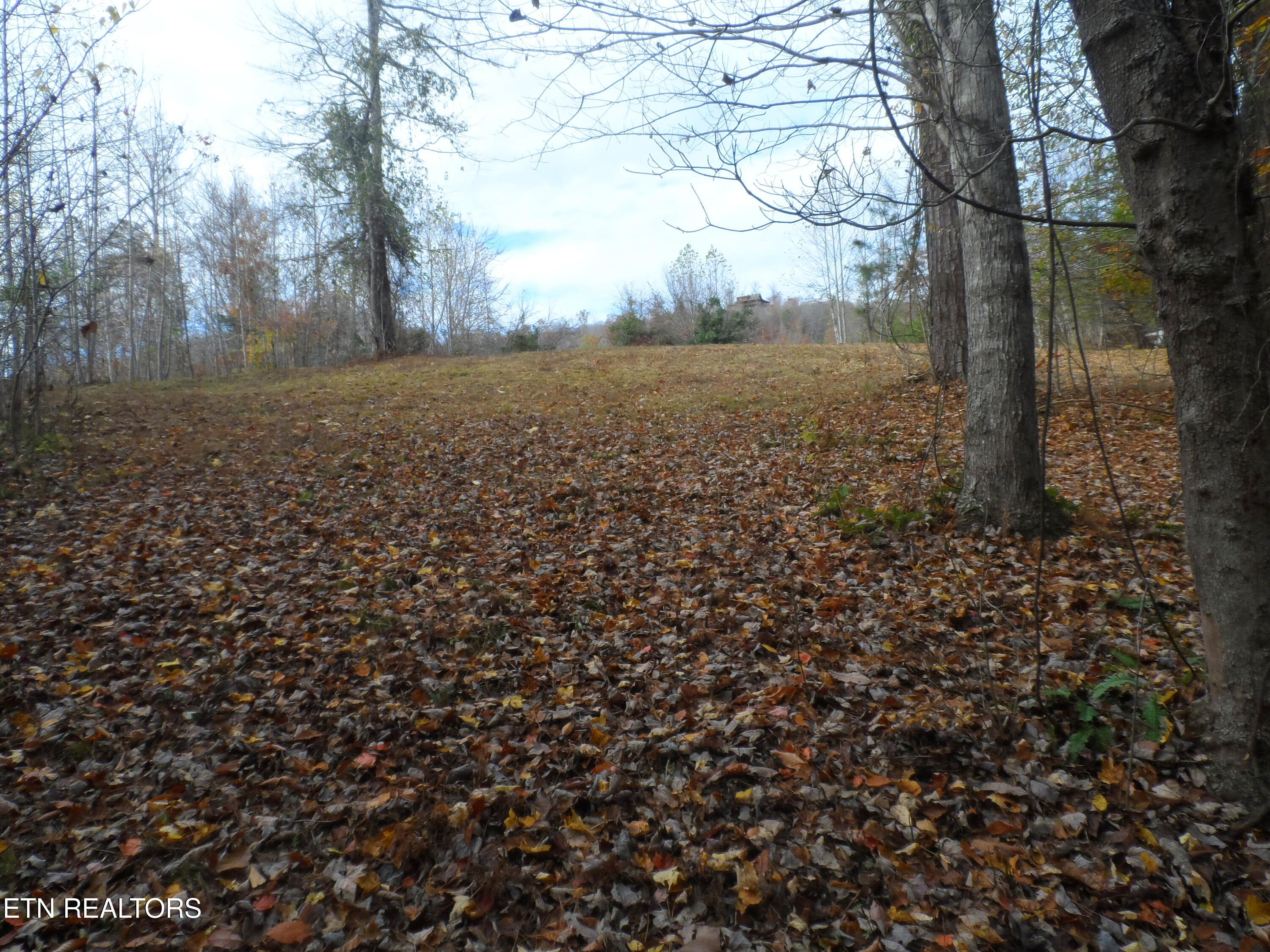 Lot 348 Lick Branch Road New Tazewell, TN 37825 - Photo 9 of 13 SAM_4916