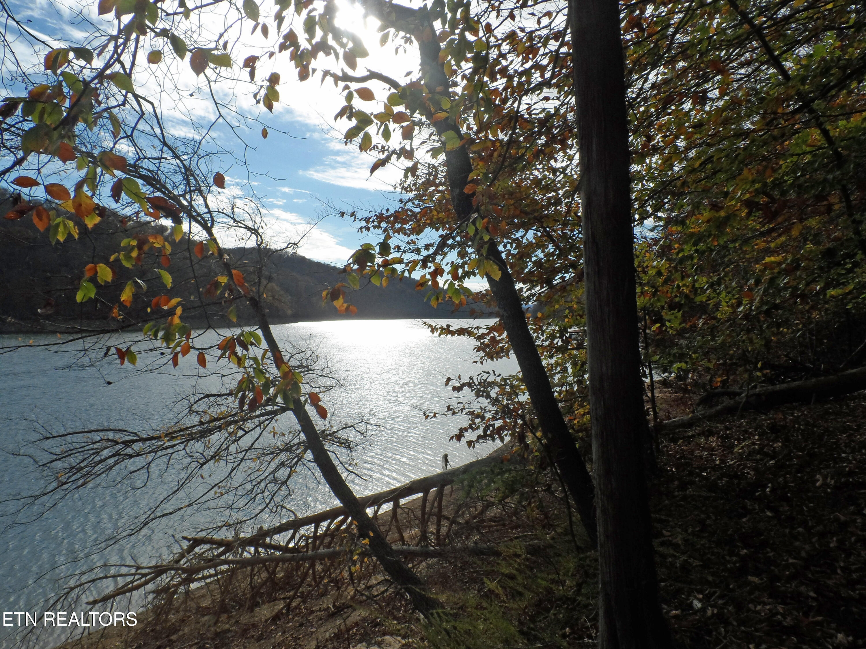 Lot 348 Lick Branch Road New Tazewell, TN 37825 - Photo 10 of 13 SAM_4918